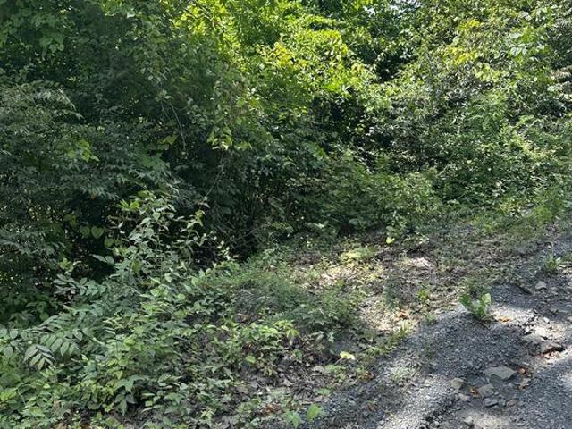 Land for sale in Virginia