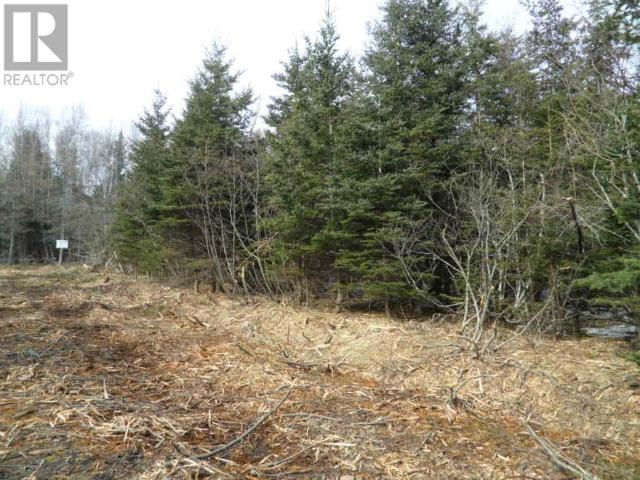Land for sale in Sheet Harbour, Nova Scotia