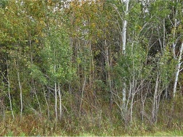 Land for sale in International Falls, Minnesota