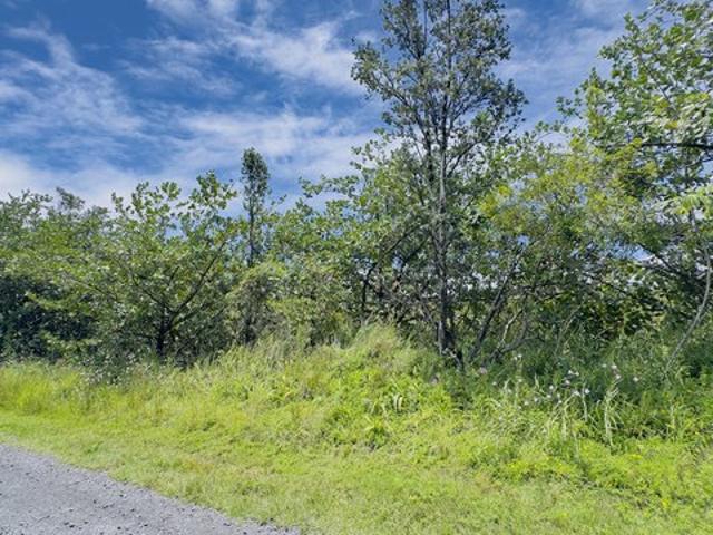 Land for sale in Keaau, Hawaiʻi County