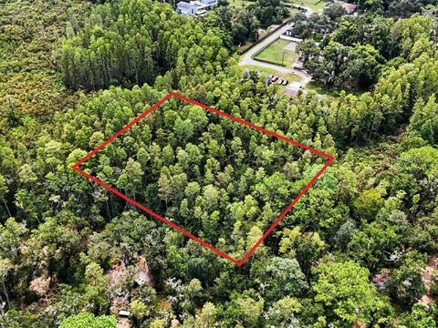 Land for sale in Lutz, Florida