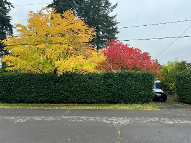 House for sale in Shoreline, Washington