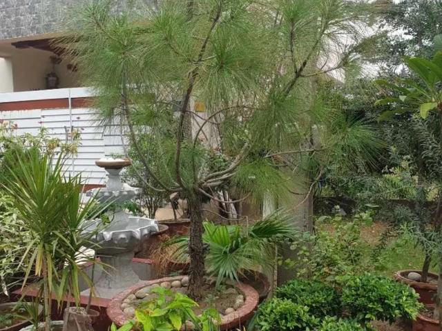 Property for rent in Rawalpindi, Islamabad Capital Territory