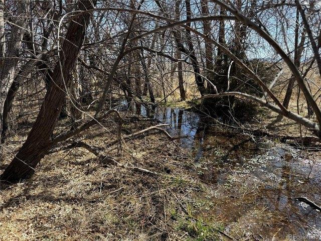 Land for sale in Alamosa, Colorado
