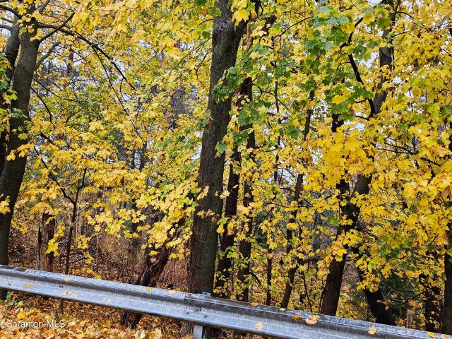 Land for sale in Newfoundland, Pennsylvania