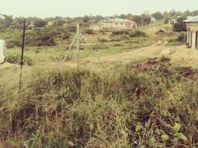 House for sale in Limpopo