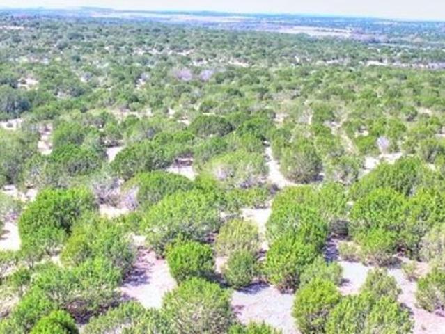 Farm for sale in Lometa, Texas