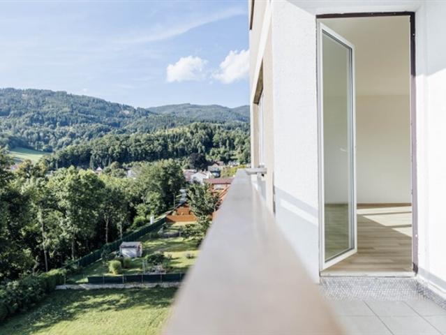 Wohnung kaufen in Judendorf, Leoben