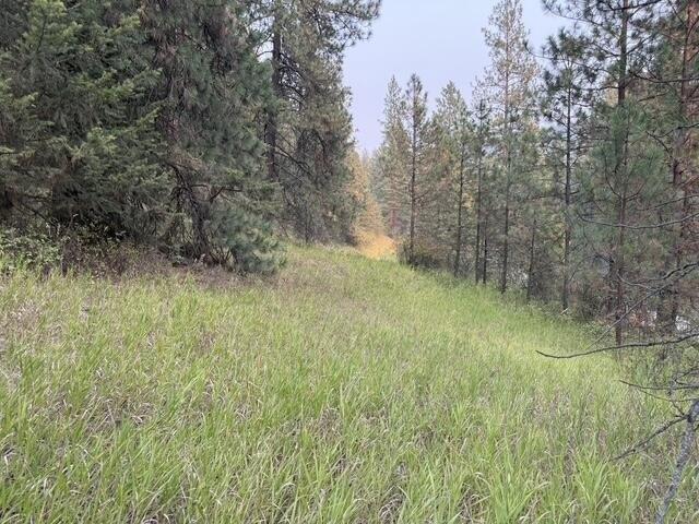 Land for sale in Kettle Falls, Washington