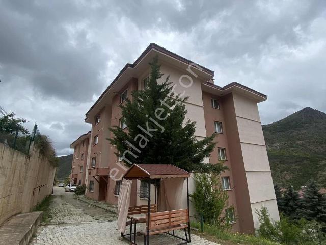 Gümüşhane Merkez, Gümüşhane içerisinde kiralık mülk