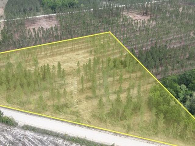 Land for sale in Glynn, Georgia