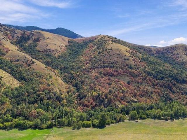 Land for sale in Cache, Utah