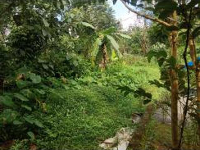 Property for sale in Kochi, Kerala