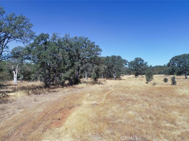 Land for sale in Lake, California