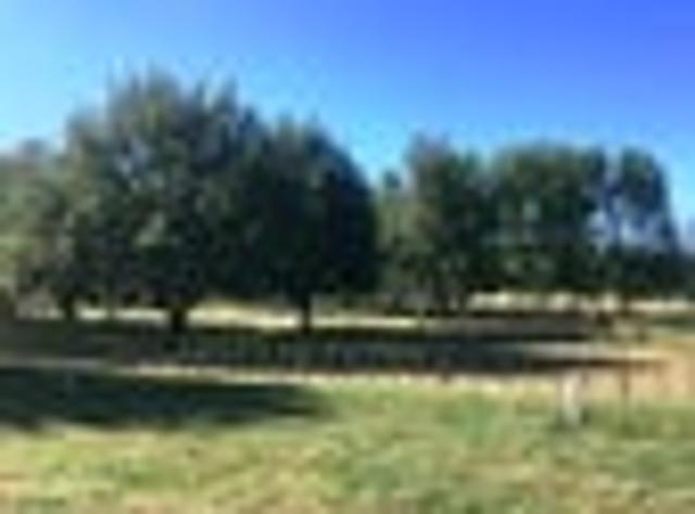 Land for sale in Waipawa, Central Hawke's Bay District