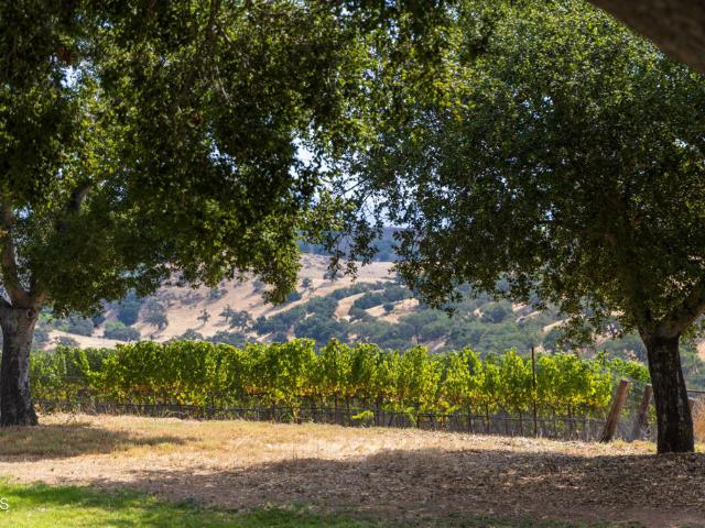House for sale in Santa Ynez, Santa Barbara County