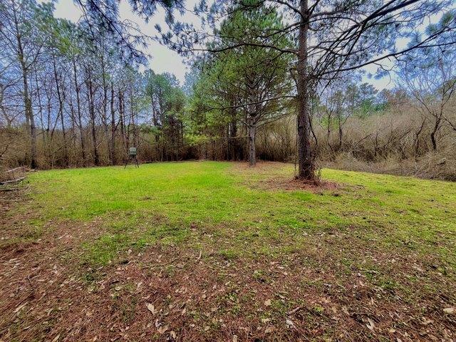 Land for sale in Vincent, Alabama