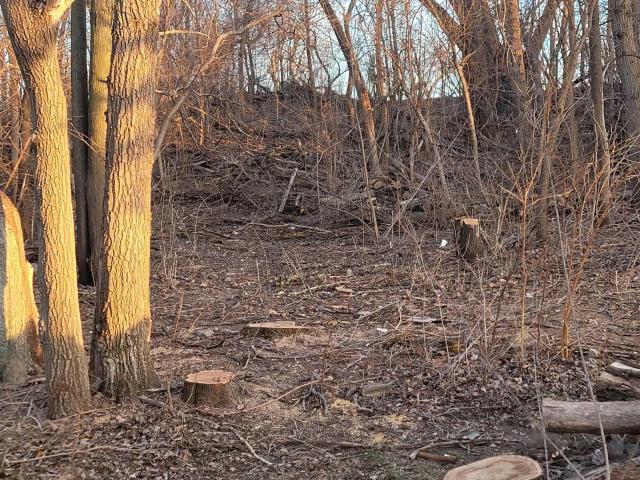 Land for sale in Marshalltown, Iowa