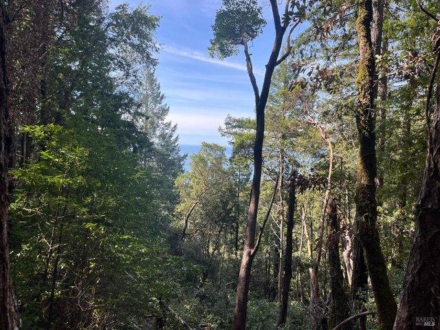 Land for sale in Cazadero, California