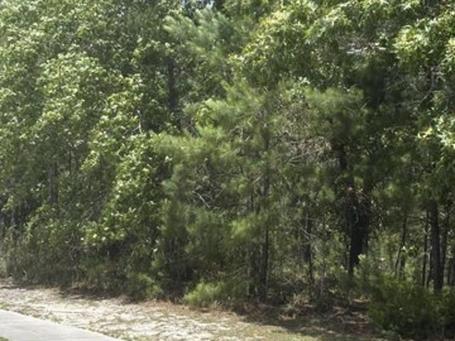 Land for sale in Ash, North Carolina