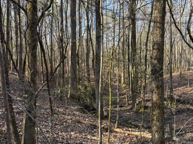 Property for sale in West Point, Georgia