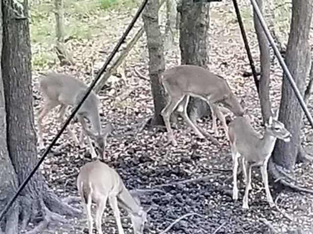 House for sale in Lott, Texas