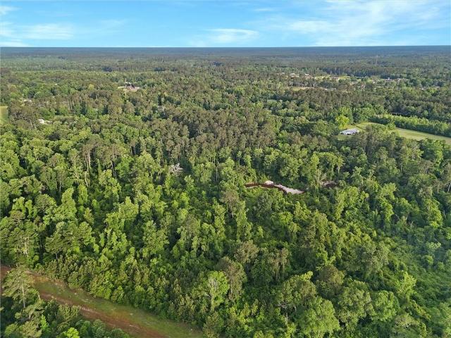 Land for sale in Holden, Louisiana
