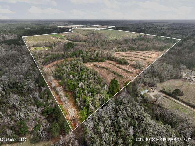 Land for sale in Mount Olive, Mississippi