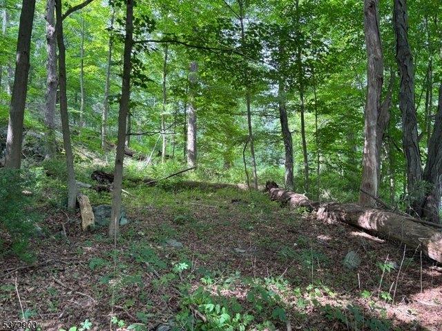 Land for sale in Allamuchy, New Jersey
