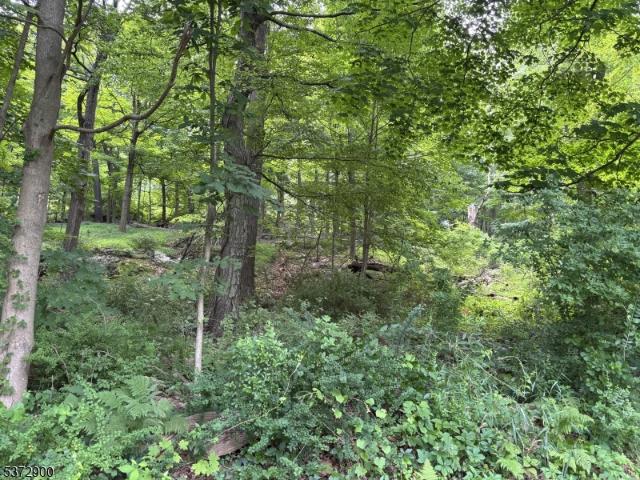 Land for sale in Great Meadows, New Jersey