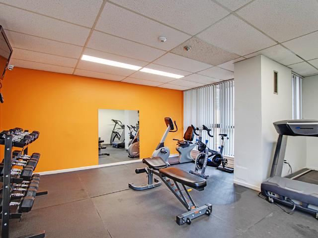 Apartment for rent in York Centre, Toronto