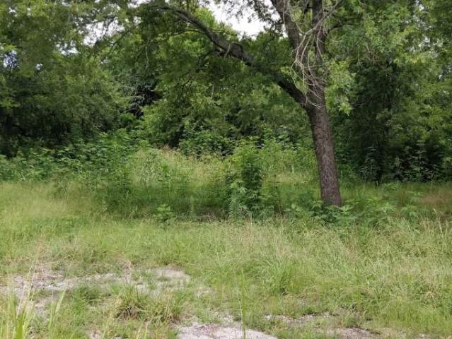 Property for sale in Hunt, Texas