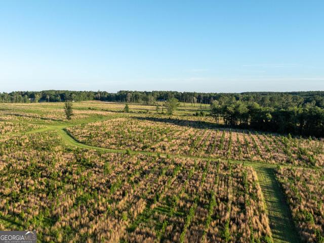 Land for sale in Screven, Georgia