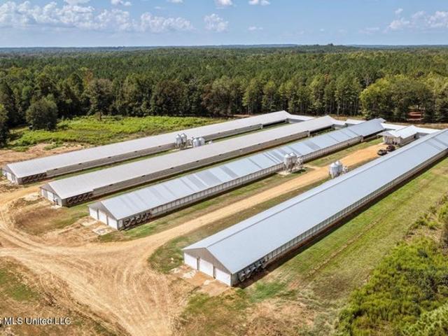 Farm for sale in Kosciusko, Mississippi