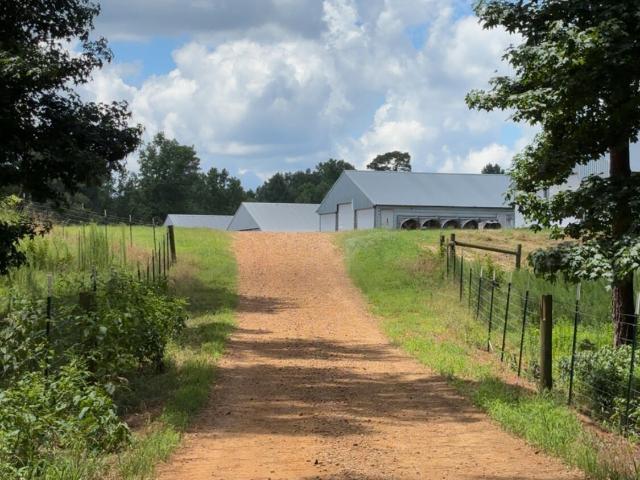 Farm for sale in Kosciusko, Mississippi