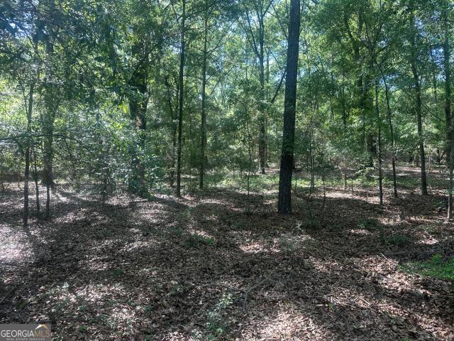 Land for sale in Screven, Georgia