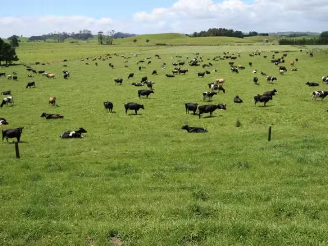 House for sale in Taranaki