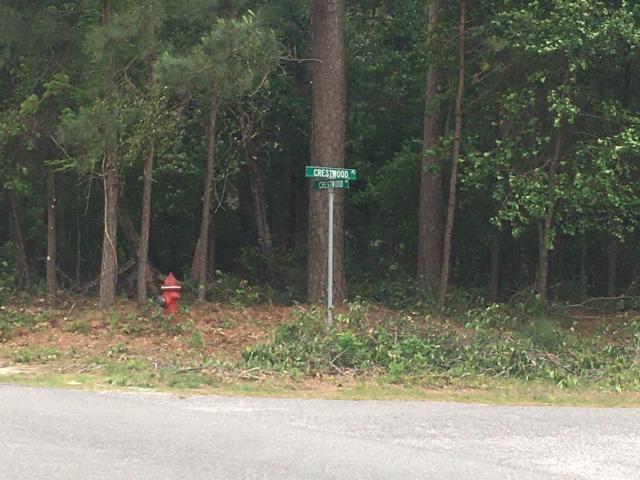 Land for sale in Goldsboro, North Carolina