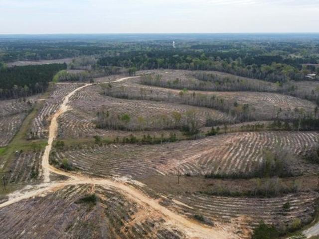 Farm for sale in Petal, Mississippi
