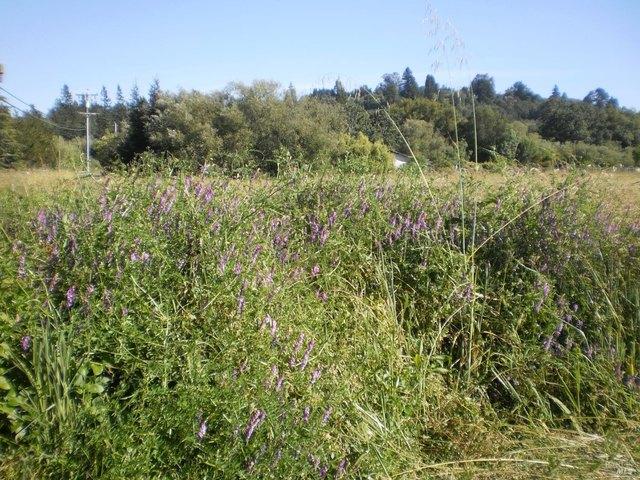 Land for sale in Sebastopol, California