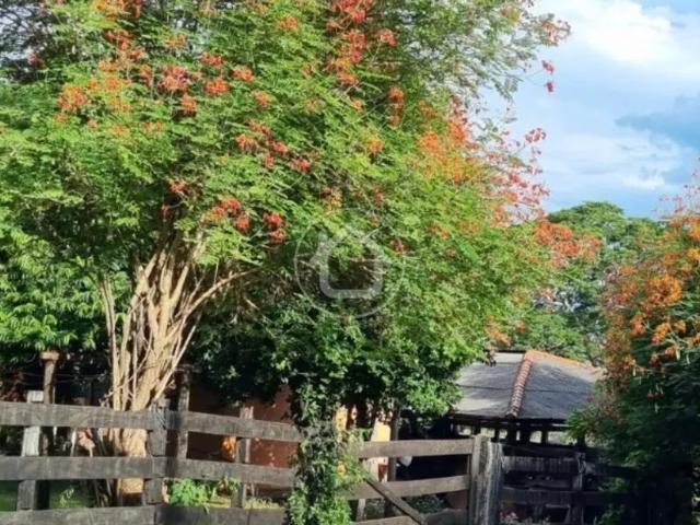Fazenda venda em Região Geográfica Imediata de Cuiabá, Poconé