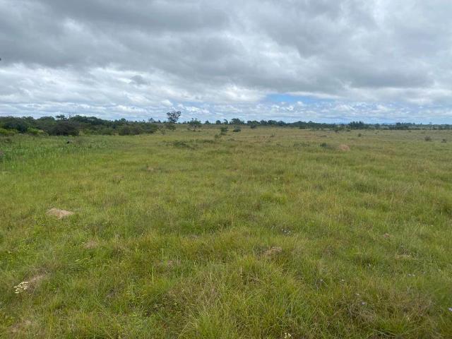Farm for sale in Bushmans River Mouth, Eastern Cape