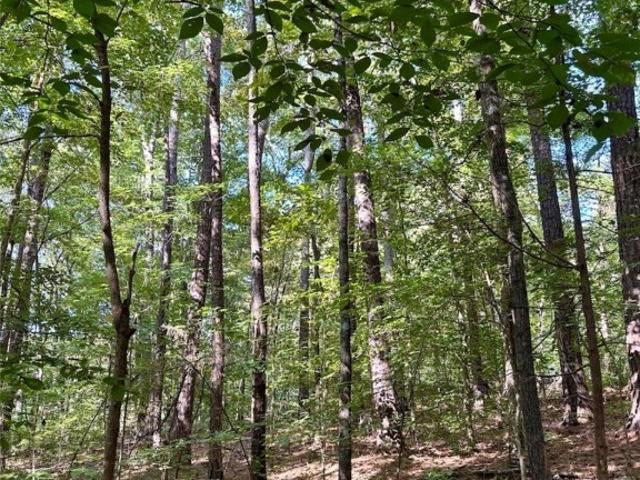 Land for sale in Blackstone, Brunswick County