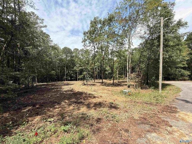 Land for sale in Centre, Alabama