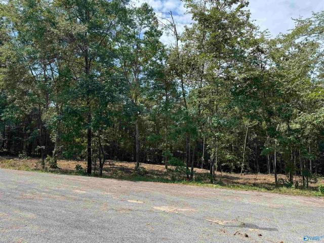 Land for sale in Centre, Alabama