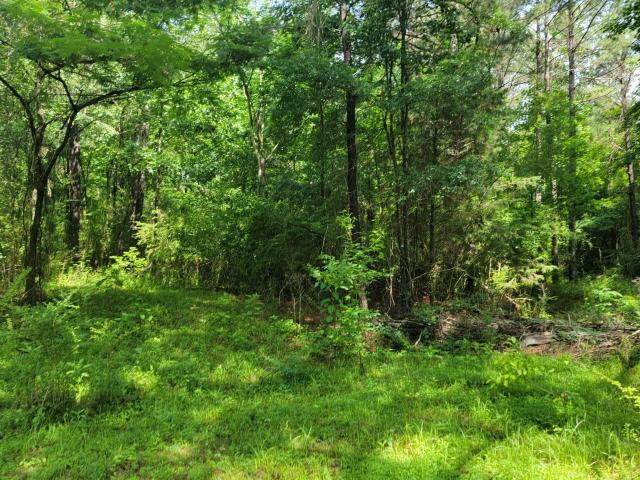 Land for sale in Columbiana, Alabama