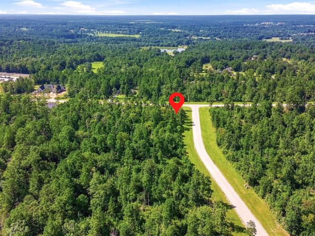Land for sale in Walker, Texas