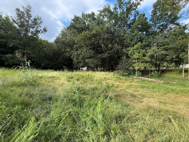 Land for sale in Beaver Dam, Kentucky