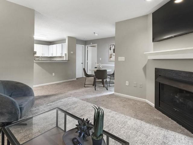 Apartment for rent in Asheville, North Carolina