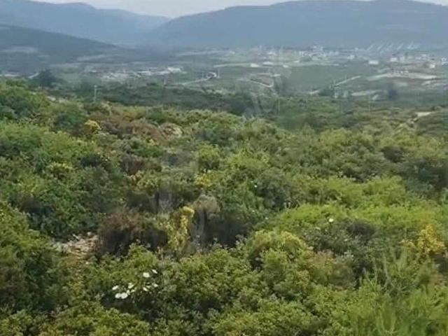 Didim, Aydin içerisinde satılık Arsa